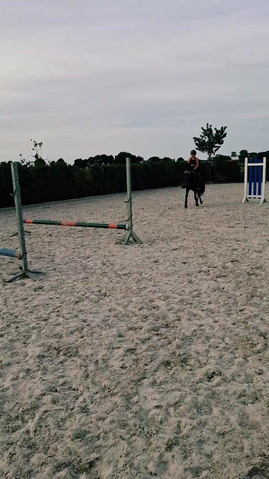 TikTok video thumbnail by steffie.silke.teamb