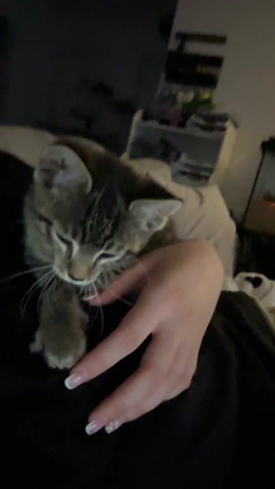 TikTok video thumbnail by nessi_2410