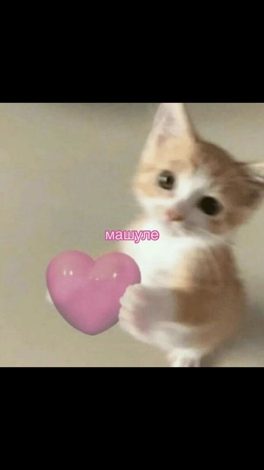 TikTok video thumbnail by loljg1