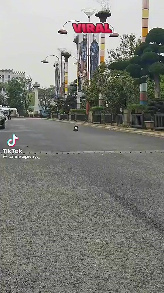 TikTok video thumbnail by pawe.dbek8