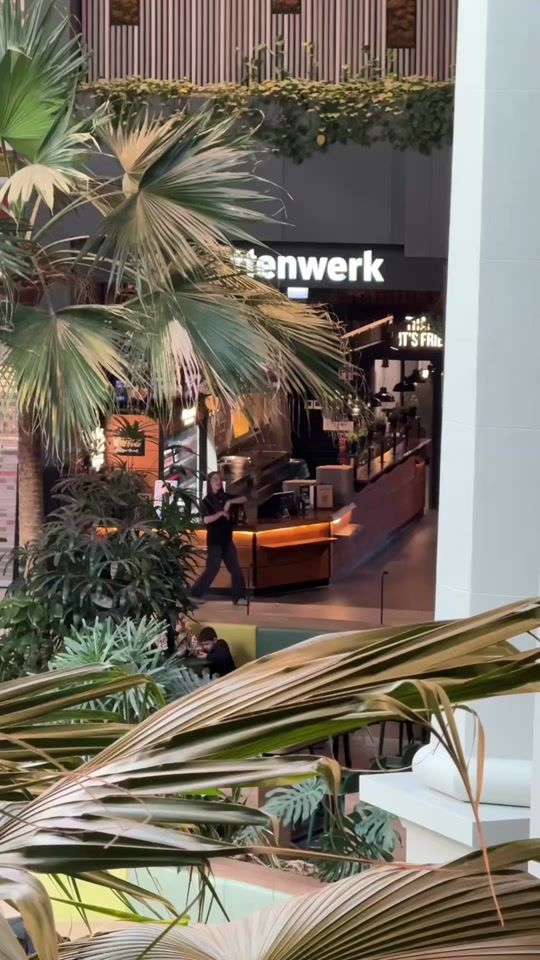 TikTok video thumbnail by frittenwerk