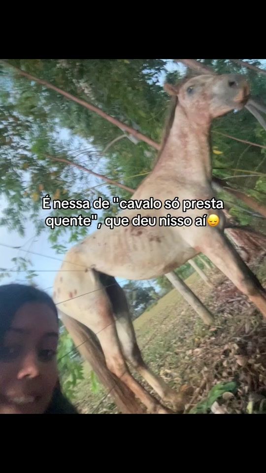 TikTok video thumbnail by clara_monteiro4