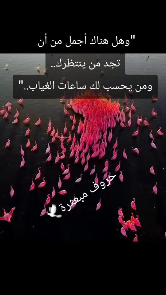 TikTok video thumbnail by bint.albalad2