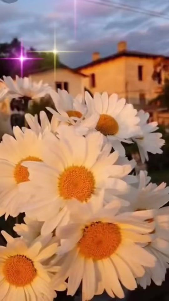 TikTok video thumbnail by elena1.9.7.5