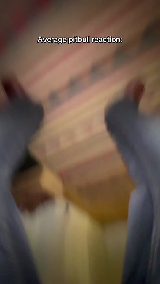 TikTok video thumbnail by thomas_meacock