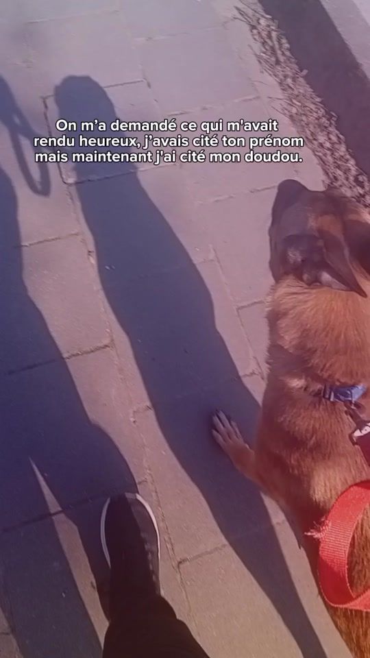TikTok video thumbnail by im_my_33