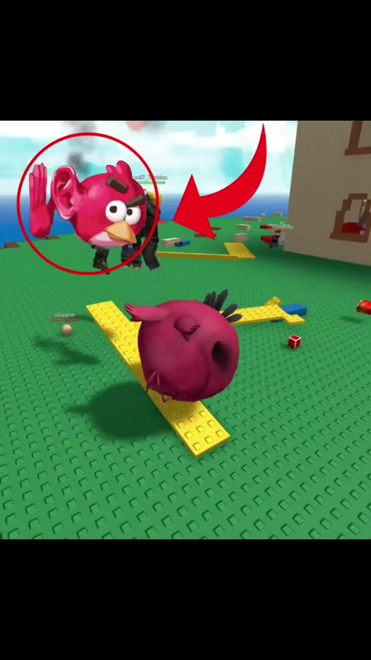 TikTok video thumbnail by gorga.the.bird