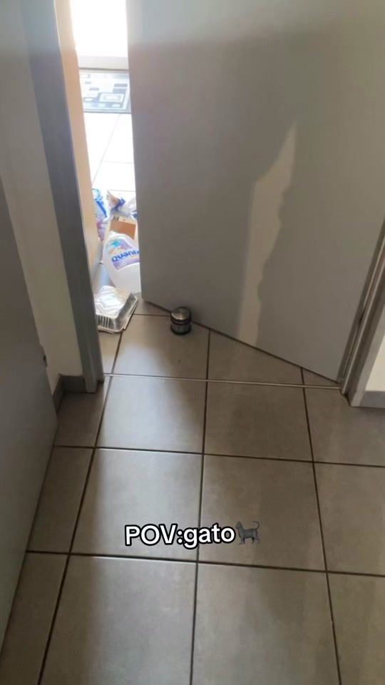 TikTok video thumbnail by jay.s_._