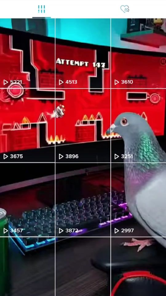 TikTok video thumbnail by whatdafriq_