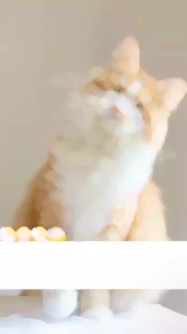 TikTok video thumbnail by anstore365