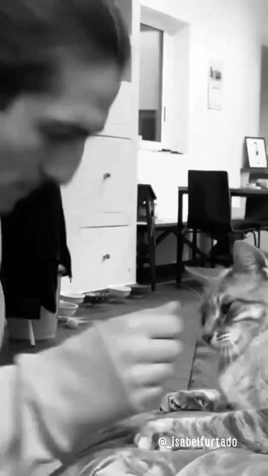 TikTok video thumbnail by _isabelfurtado