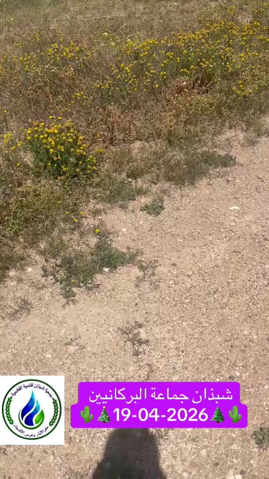 TikTok video thumbnail by mohammeddardouri0