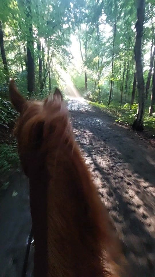 TikTok video thumbnail by davesylvana