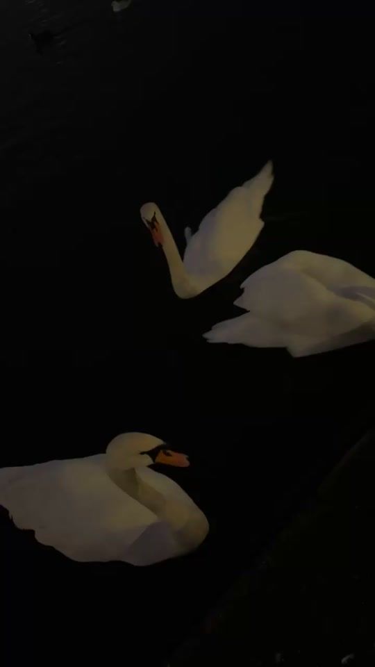 TikTok video thumbnail by greati222