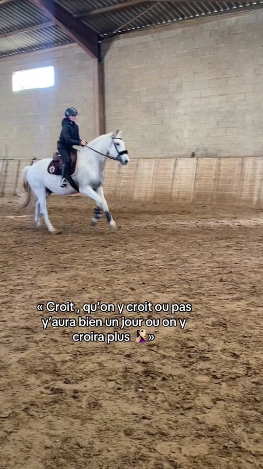 TikTok video thumbnail by un_poney_gris.1