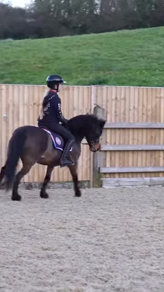 TikTok video thumbnail by harlow.ponies.edits