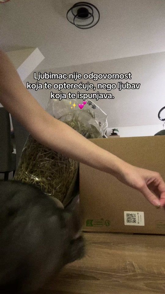 TikTok video thumbnail by beganovicsara