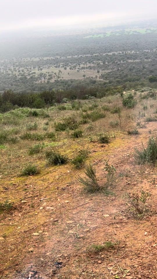 TikTok video thumbnail by extremadura_hunting