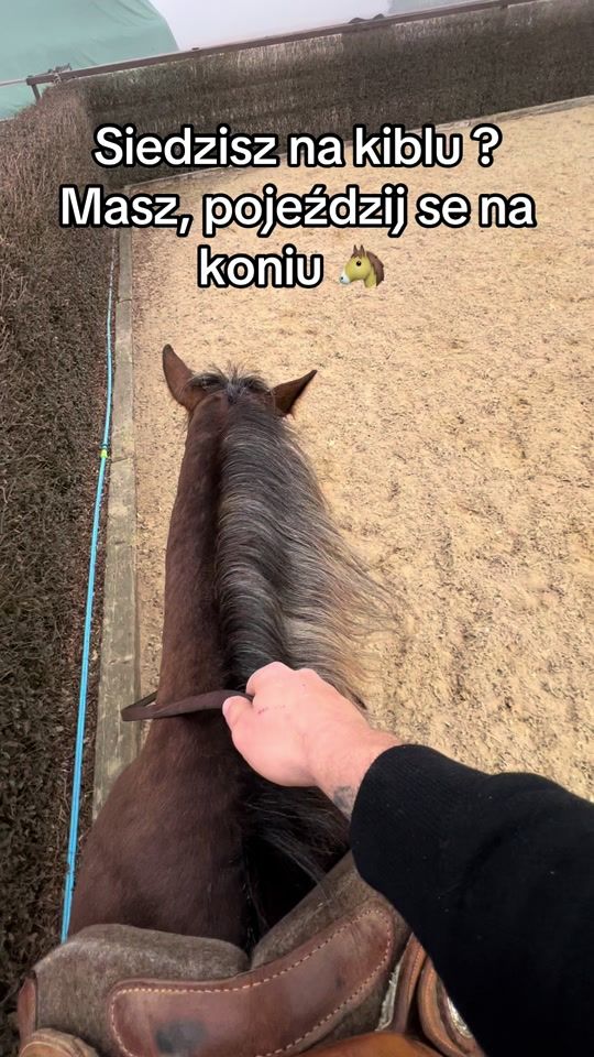 TikTok video thumbnail by pmhorsemanship