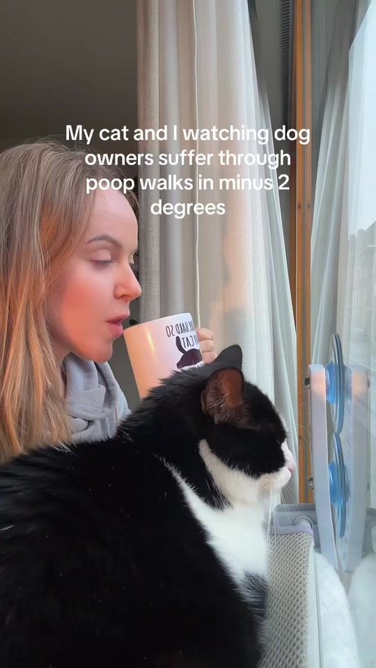 TikTok video thumbnail by chantalspies6