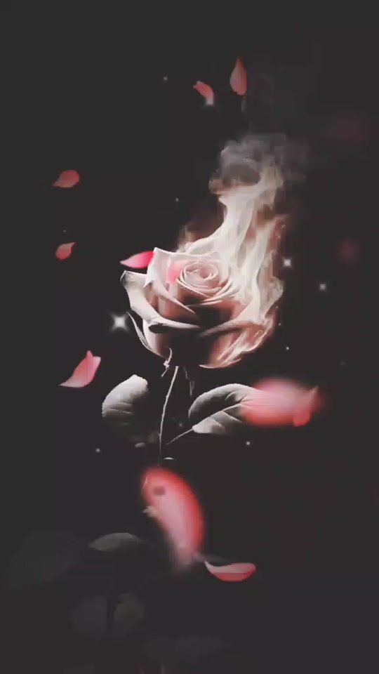 TikTok video thumbnail by 1802paula