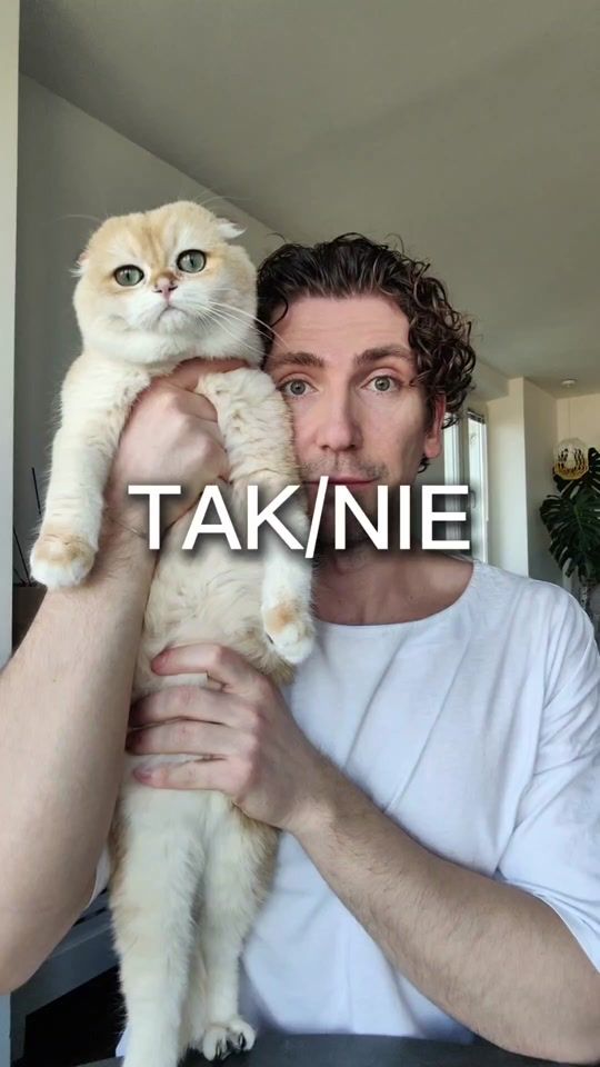 TikTok video thumbnail by michal_dudzinski