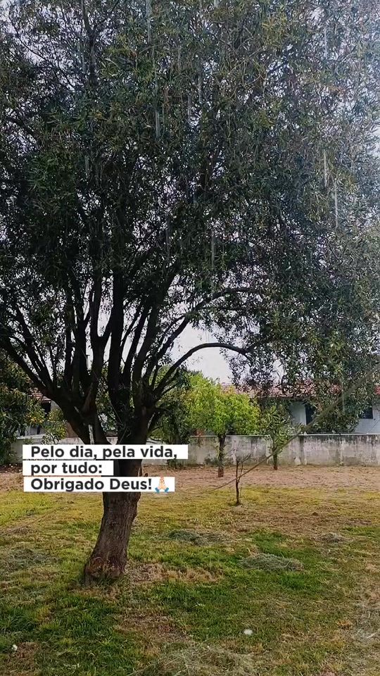 TikTok video thumbnail by expandi_