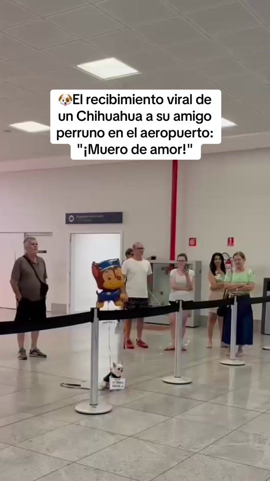 TikTok video thumbnail by elespanolcom