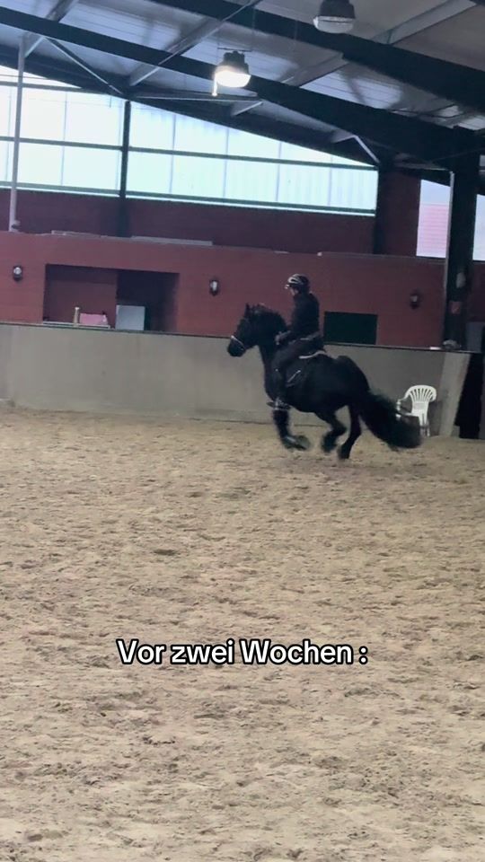 TikTok video thumbnail by herzenspferd.rudi