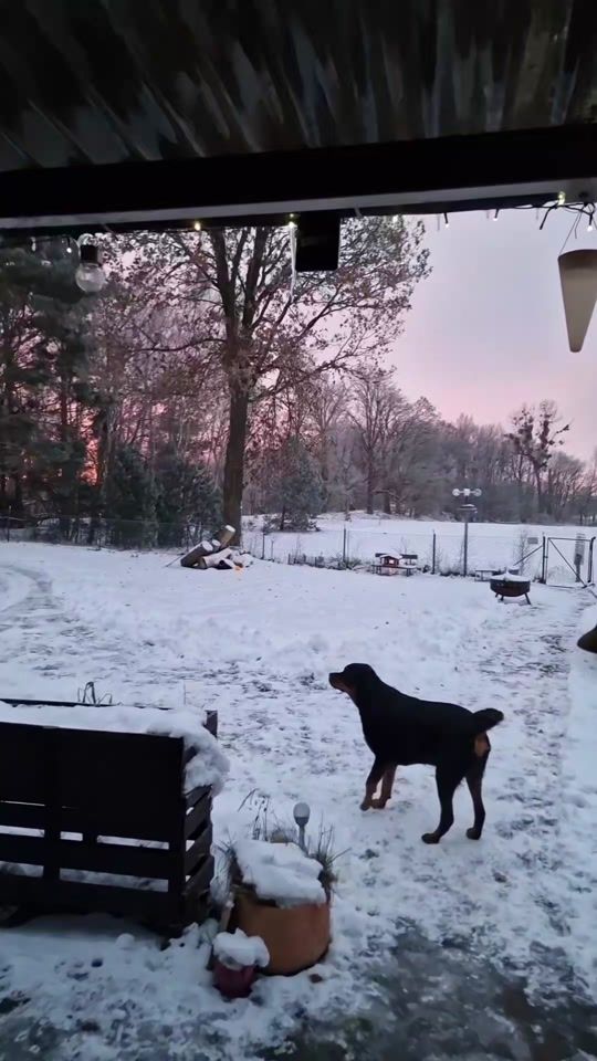TikTok video thumbnail by a.brandenburg