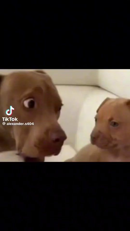 TikTok video thumbnail by caden.deman