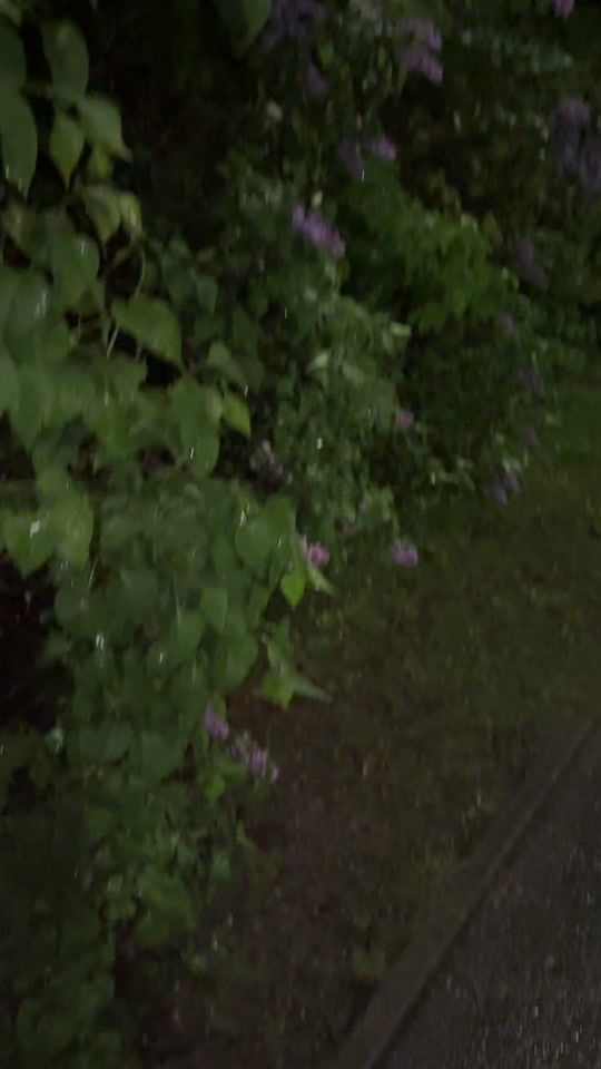 TikTok video thumbnail by kio_rise