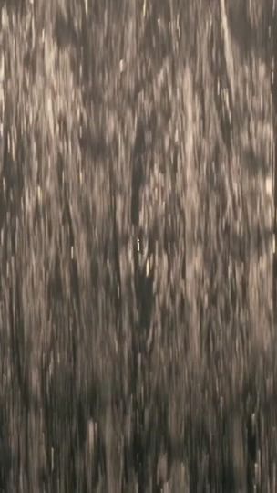 TikTok video thumbnail by pogueslve