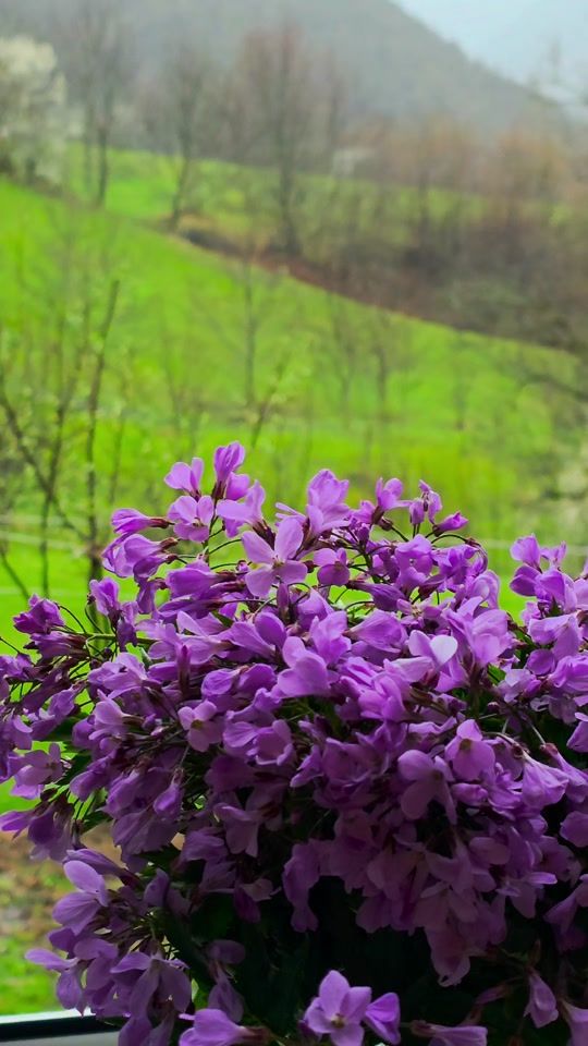 TikTok video thumbnail by _mansur.s