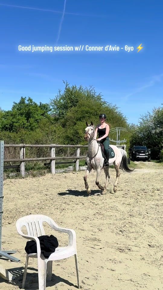 TikTok video thumbnail by t.p_horses