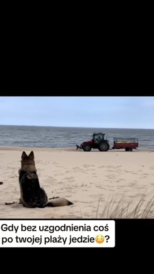 TikTok video thumbnail by bartekzdrowy_nefretete