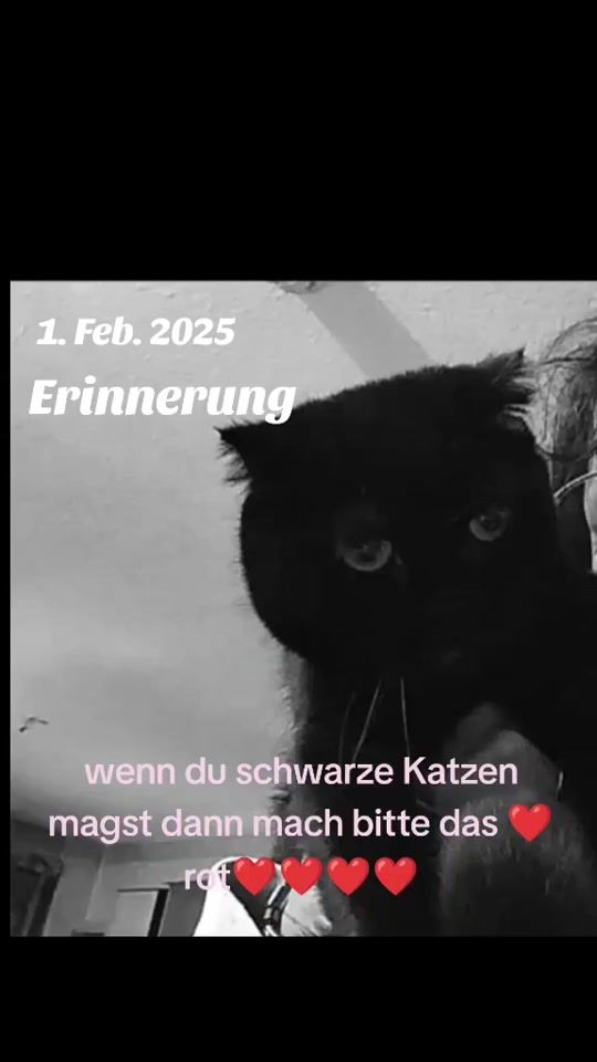 TikTok video thumbnail by karizmaa51
