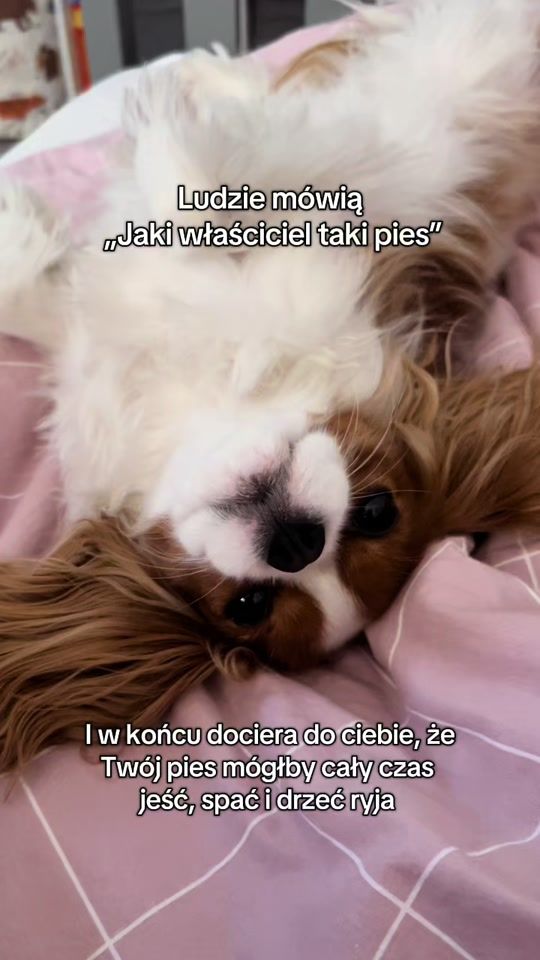 TikTok video thumbnail by lillycavalier