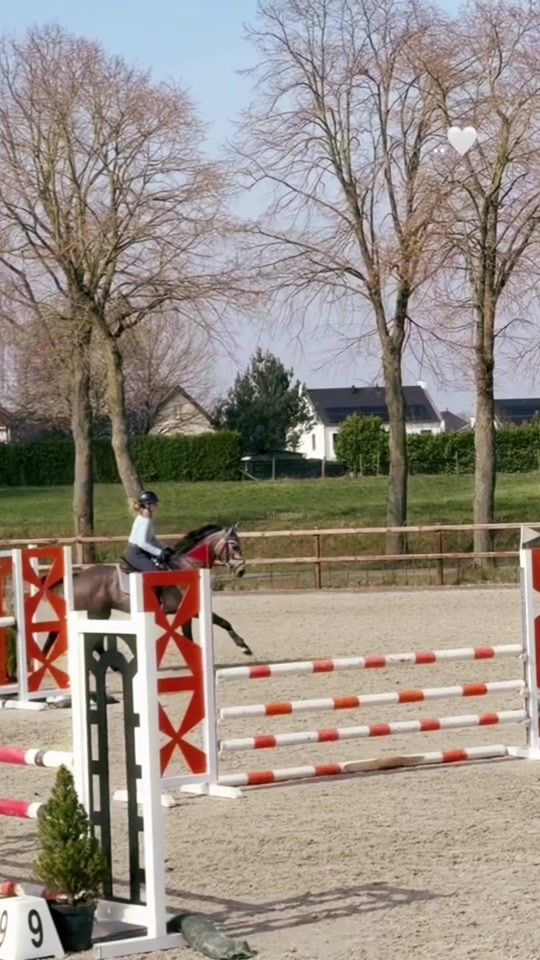 TikTok video thumbnail by flying.rocky