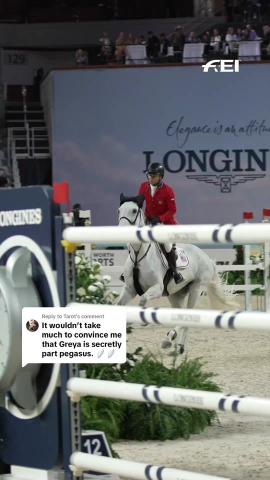 TikTok video thumbnail by fei_horse_world