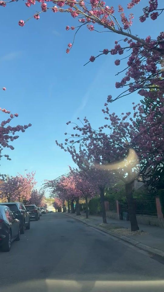 TikTok video thumbnail by abdelrrahim.tanger