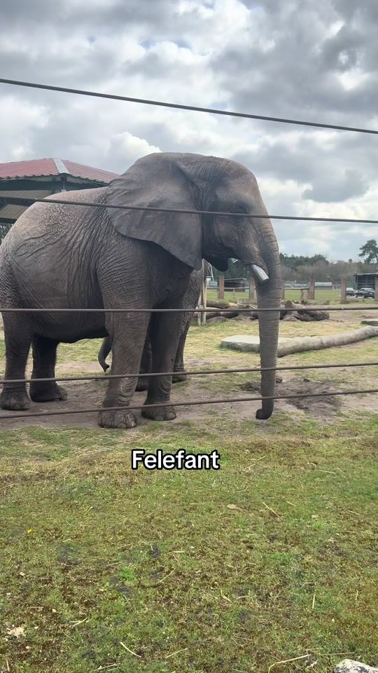 TikTok video thumbnail by babarami1