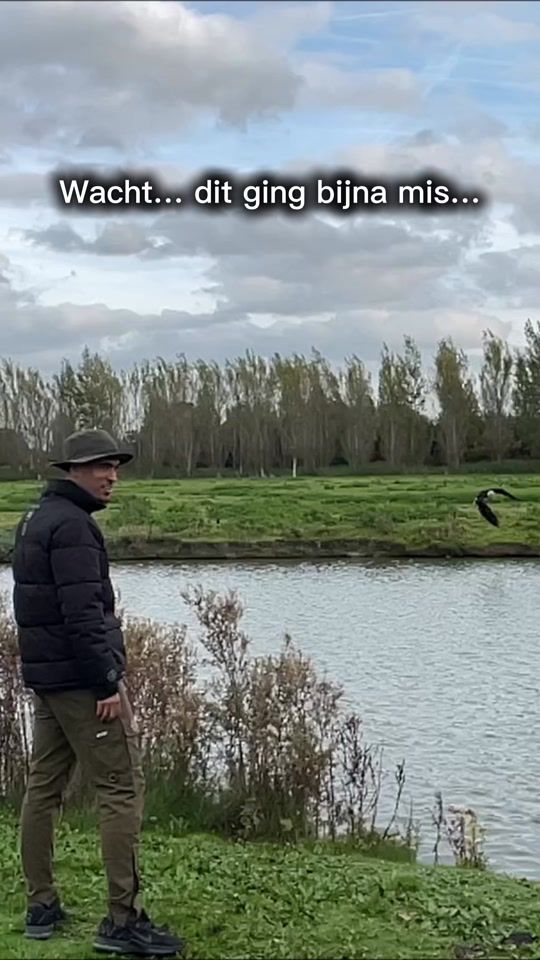 TikTok video thumbnail by wildebras.official