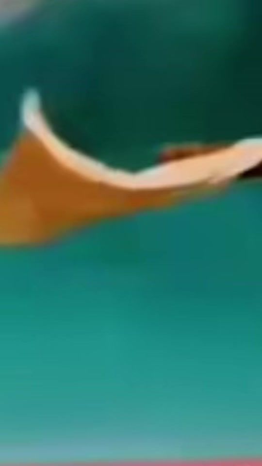 TikTok video thumbnail by fetuselmawit001