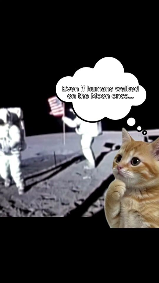 TikTok video thumbnail by djtwistyofficial