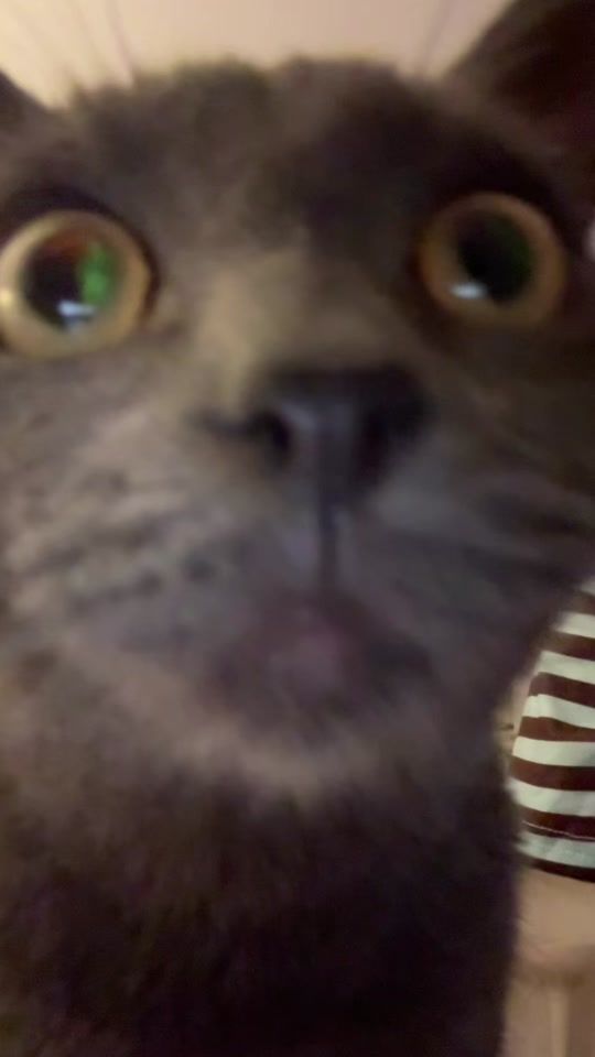 TikTok video thumbnail by olgaglab