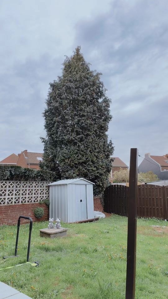 TikTok video thumbnail by sianaans