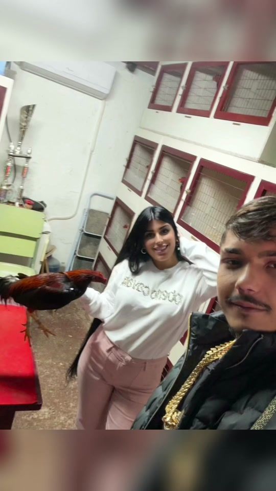 TikTok video thumbnail by aaneeruy_
