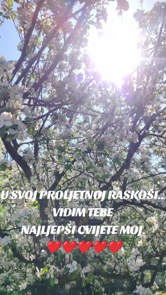 TikTok video thumbnail by mennoti1