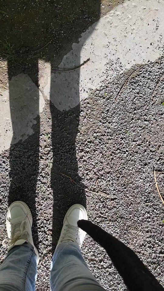 TikTok video thumbnail by chiwetslina